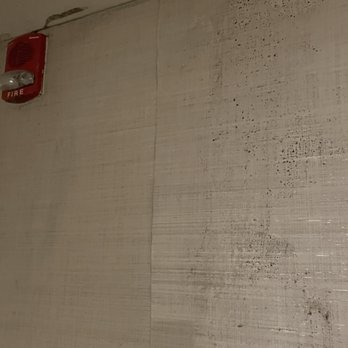 Norfolk Waterside Marriott - Apparent water damage and mold in hallway of 7th floor near elevator - Hotels Near Me - Norfolk, Virginia Norfolk Waterside Marriott - Apparent water damage and mold in hallway of 7th floor near elevator - Hotels Near Me - Norfolk, Virginia