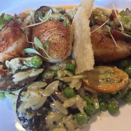 Scallops in basil