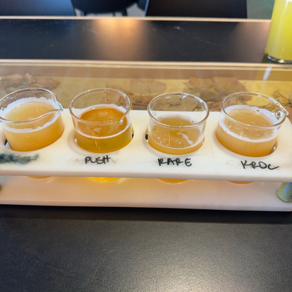 Cerebral Brewing - Beer flight and tap room video - Breweries Near Me - Denver, Colorado