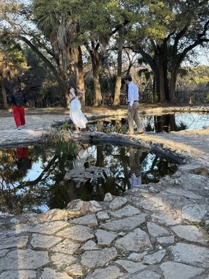 Mayfield Park and Nature Preserve by null