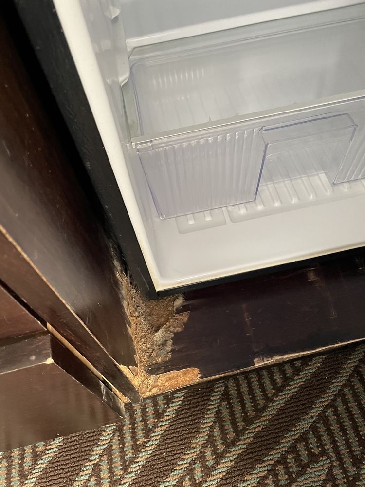 Holiday Inn Express & Suites Havelock NW-New Bern