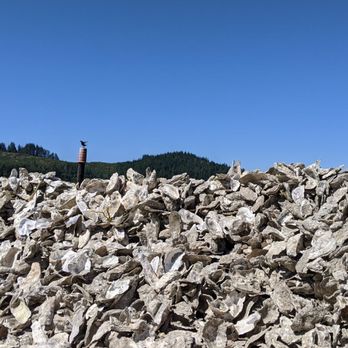 Clausen Oysters - Seafood Near Me - North Bend, Oregon