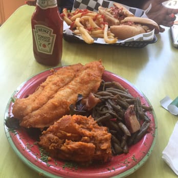 Terra Cafe - Cafes Near Me - Baltimore, Maryland