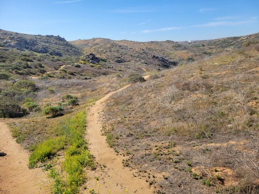 Sycamore Canyon Wilderness Park by null
