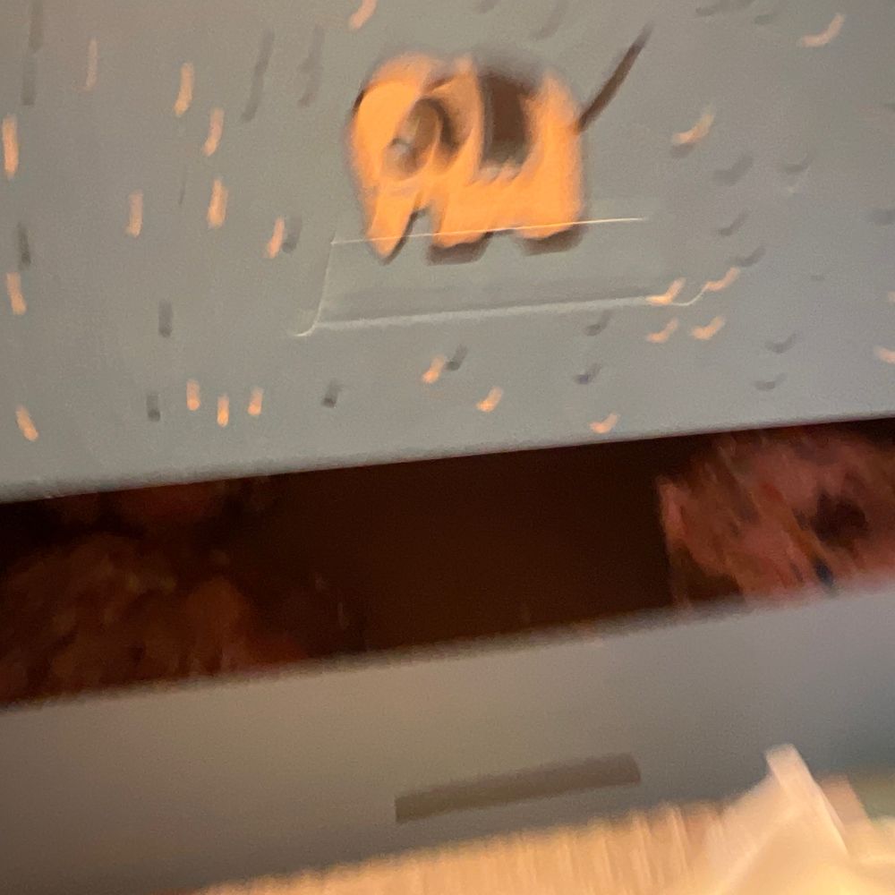 two donuts in a box two donuts in a box