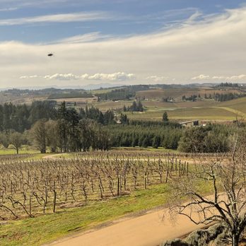 Willamette Valley Vineyards - Wineries Near Me - Turner, Oregon Willamette Valley Vineyards - Wineries Near Me - Turner, Oregon