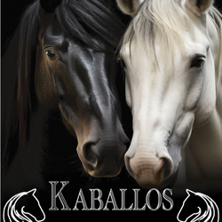 Kaballos Mexican Kitchen & Bar
