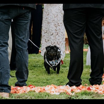 Reserve 22 Banquets - Outdoor ceremony - Venues & Event Spaces Near Me - Glen Ellyn, Illinois Reserve 22 Banquets - Outdoor ceremony - Venues & Event Spaces Near Me - Glen Ellyn, Illinois