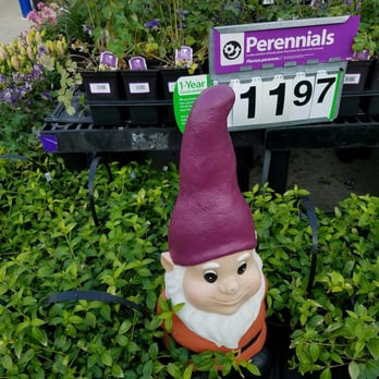 Walmart - Grocery Near Me - Commack, New York