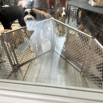 Groomies - Pet Groomers Near Me - Chicago, Illinois Groomies - Pet Groomers Near Me - Chicago, Illinois