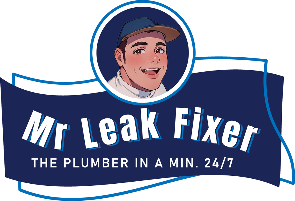 Slide of Mr leak Fixer