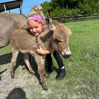 Rayshell Ranch - Venues & Event Spaces Near Me - Loxahatchee, Florida