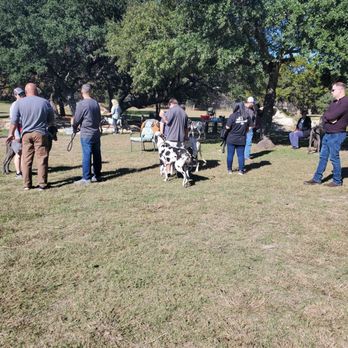 K9 Play and Train - Great Dane Play date, hosted by k9playandtrain on site. Success, more to come San Antonio and surrounding areas. - Pet Training Near Me - Bulverde, Texas K9 Play and Train - Great Dane Play date, hosted by k9playandtrain on site. Success, more to come San Antonio and surrounding areas. - Pet Training Near Me - Bulverde, Texas