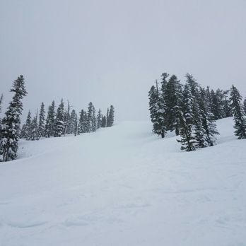 Skyline Bear Valley Resort - Ski Resorts Near Me - Bear Valley, California Skyline Bear Valley Resort - Ski Resorts Near Me - Bear Valley, California