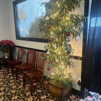 Palace Chinese Restaurant - a christmas tree in the waiting room - Chinese Near Me - Birmingham, Alabama Palace Chinese Restaurant - a christmas tree in the waiting room - Chinese Near Me - Birmingham, Alabama
