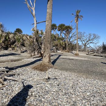 Botany Bay Plantation - Parks Near Me - Edisto Island, South Carolina
