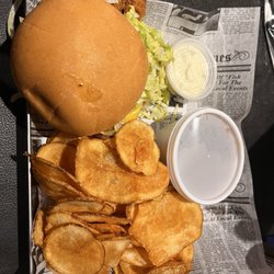 Time Out Sports Bar & Grill - Catfish filet sandwich