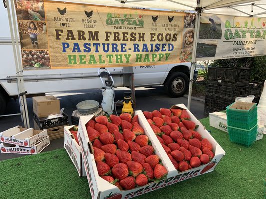 placentia certified farmers market by null