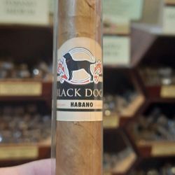 Black Dog Cigar Bar
