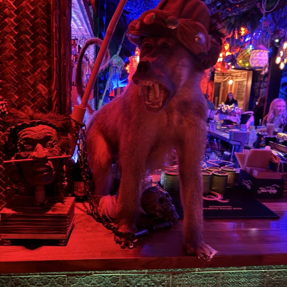 Permanent Vacation - Tiki Bars Near Me - Maitland, Florida Permanent Vacation - Tiki Bars Near Me - Maitland, Florida