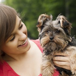 Crestwood Apartments - Pet Friendly