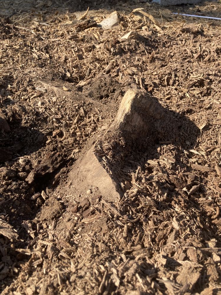 Environmental Tree Care - tree service in Denver, CO