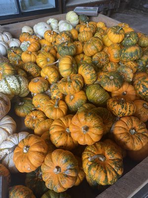 Bremer Produce U-Pick Flower Farm by null