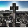 Photo of Toowong Cemetery