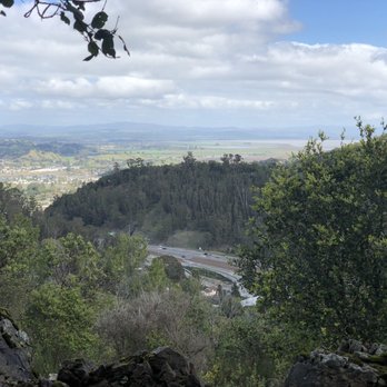 Robert Dollar Scenic Drive Hike - Hiking Near Me - San Rafael, California Robert Dollar Scenic Drive Hike - Hiking Near Me - San Rafael, California