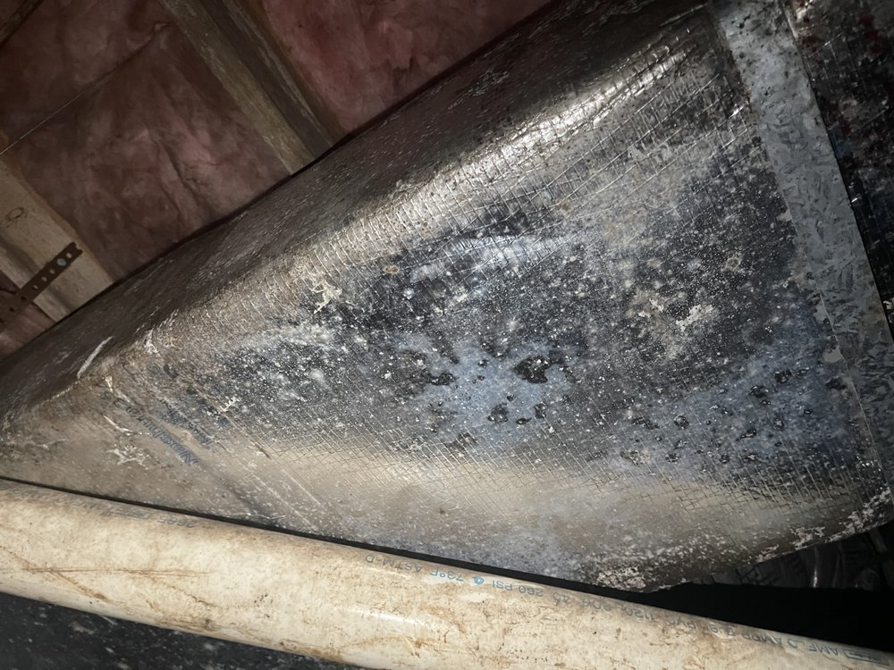 Minus Mold - mold inspector in Henrico, VA