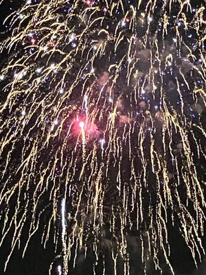 Gold Medal Park by null