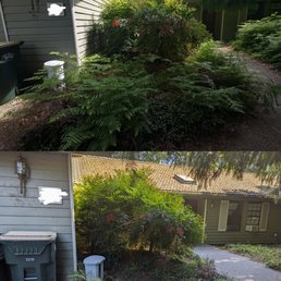 Front walk, before and after