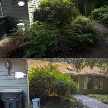 Seahawk Lawn Service - Front walk, before and after - Landscaping Near Me