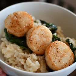 13 Mile Seafood Market - Brown Butter Scallops with Parmesan Risotto