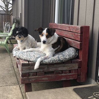 VCA Westmoreland Animal Hospital - Veterinarians Near Me - Eugene, Oregon VCA Westmoreland Animal Hospital - Veterinarians Near Me - Eugene, Oregon