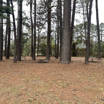 Lotus Garden Park - Picnic area to the left of the pond/lake  4/2022 - Parks Near Me - Virginia Beach, Virginia