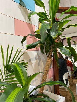 The Goblin Detroit by null