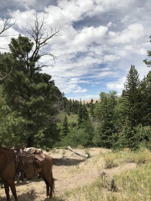 Zapata Ranch by null