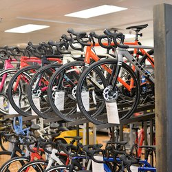 David's World Cycle