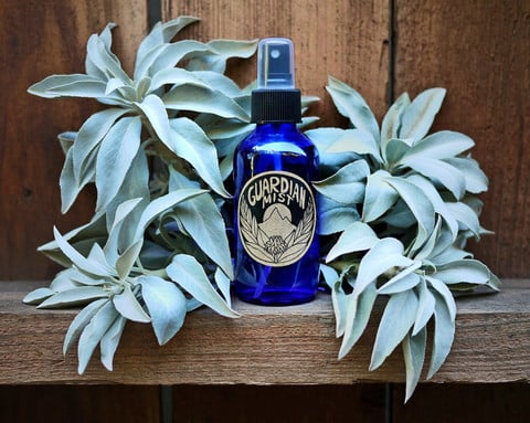 Hunter Gatherer by null