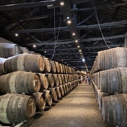 Taylor's Port