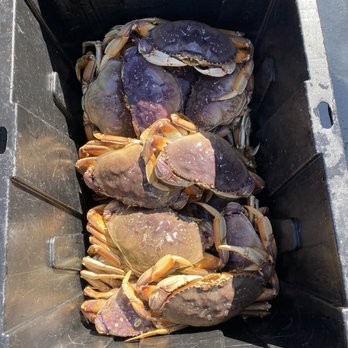Five Star Charters - Fishing Near Me - Gold Beach, Oregon