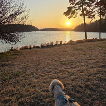 Lanier Islands - Watching the sunset together with my mini golden doodle at Lake Lanier. - Venues & Event Spaces Near Me - Buford, Georgia Lanier Islands - Watching the sunset together with my mini golden doodle at Lake Lanier. - Venues & Event Spaces Near Me - Buford, Georgia