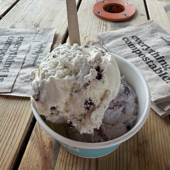 Molly Moon’s - 2 scoops in bowl - Ice Cream & Frozen Yogurt Near Me - Seattle, Washington