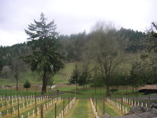 Reustle-Prayer Rock Vineyards by null