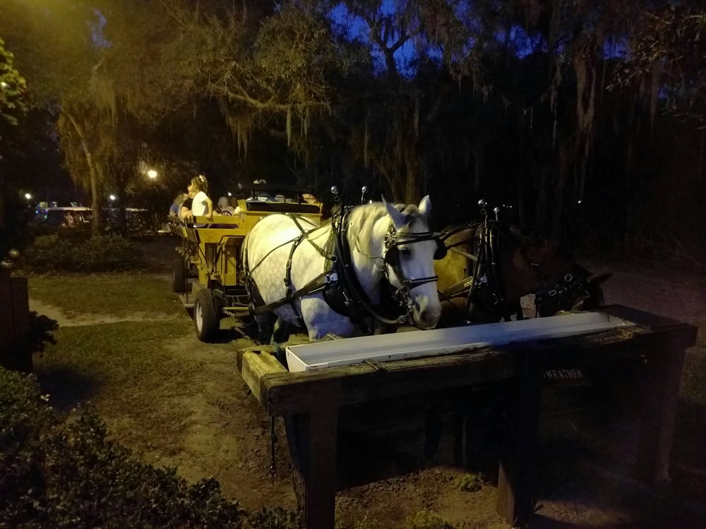 Fort Wilderness Horse-Drawn Excursions - equestrian in Orlando, FL