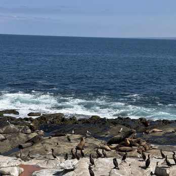 La Jolla Cove - La Jolla Cove - Parks Near Me - La Jolla, California La Jolla Cove - La Jolla Cove - Parks Near Me - La Jolla, California