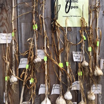 "R" Farm - Local garlic grown by a neighbour is also offered here at the "R" Farm, so you can get more of what you need in one beautiful setting. - Farms Near Me - Newcastle, Ontario