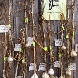 "R" Farm - Local garlic grown by a neighbour is also offered here at the "R" Farm, so you can get more of what you need in one beautiful setting.