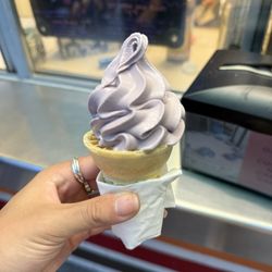 Sweet Melissa's Ice Cream Shop - Black raspberry kid cone